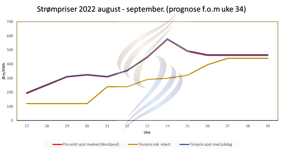 Prognose 25 aug - Tinn Energi & Fiber Prisprognose august 22